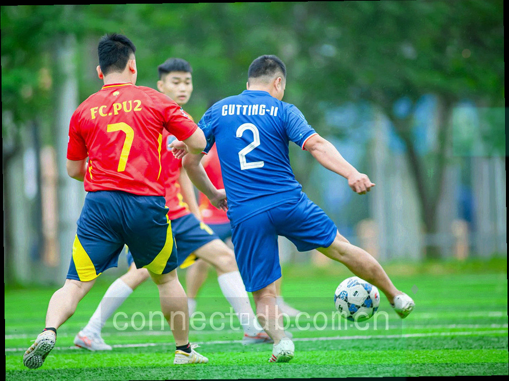 由发光点与折线构成的抽象趋势示意，表现记录量的平稳增长